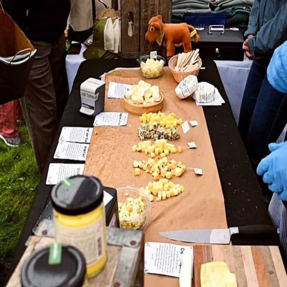 cheese samples cropped 2 2 2